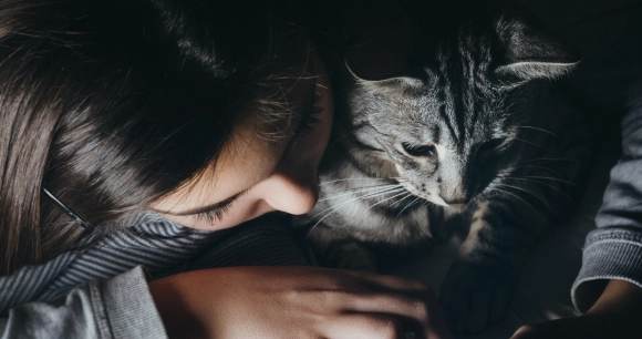 gray cat and child snuggle together