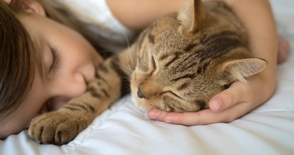 young child and kitten cuddled together in sleep