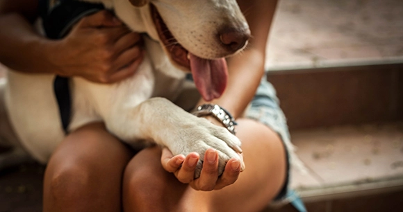 a dog sticking his tongue out and holding his paw in his owner's hand