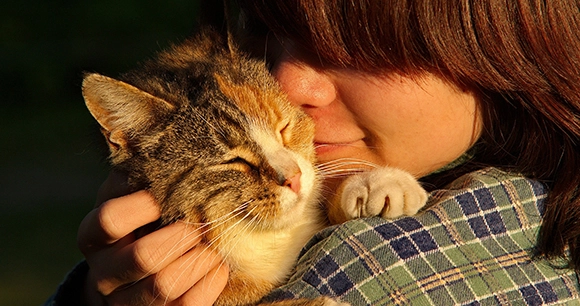 a child hugging and cuddling a cat