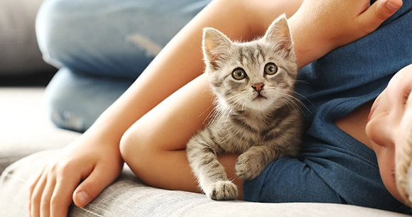 young kitten cuddled by male child