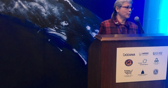 Naomi Rose, a marine mammal scientist at the Animal Welfare Institute, speaking at a reception on Capitol Hill to celebrate the 45th anniversary of the Marine Mammal Protection Act