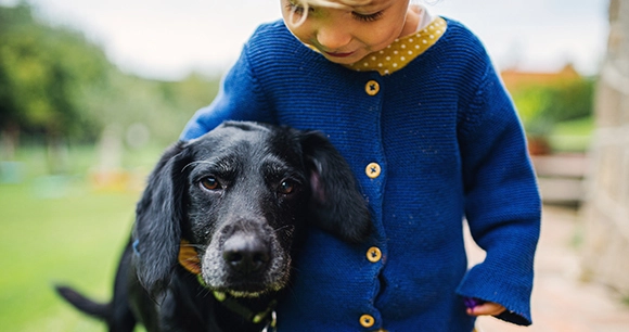older black dog standing with child