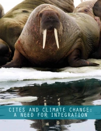 Report cover CITES and Climate Change