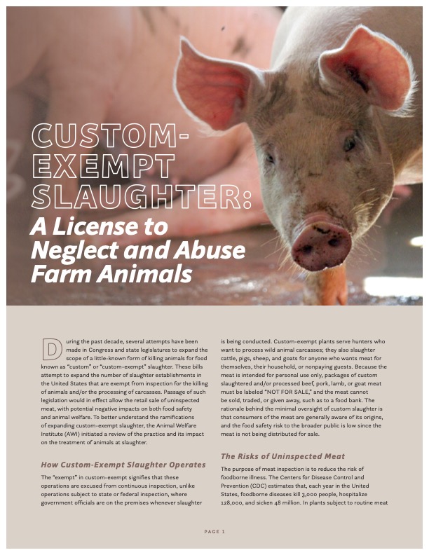 Report cover of Custom-Exempt Slaughter