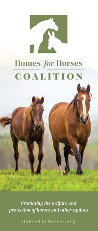 Brochure cover of Homes for Horses Coalition