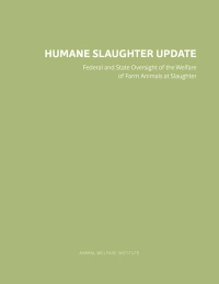 Report cover of Humane Slaughter Update
