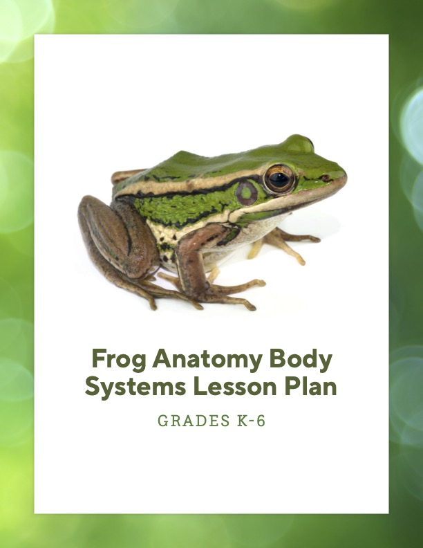 Cover of Frog Anatomy Body Systems Lesson Plan