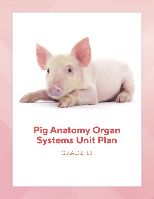 Cover of Pig Anatomy Organ Systems Unit Plan