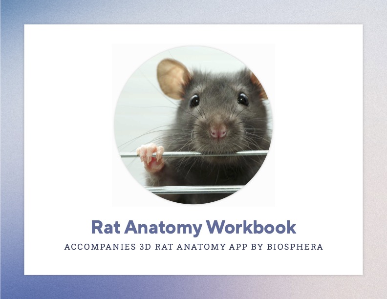 Cover of Rat Anatomy Workbook