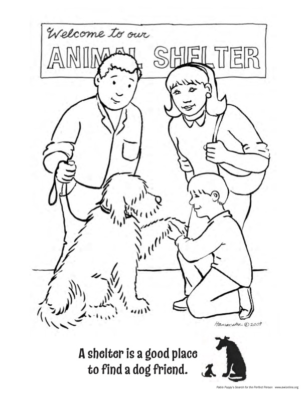 Cover of Pablo Puppy’s Search for the Perfect Person Activities