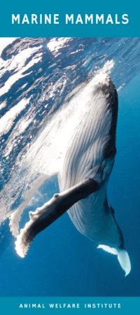 Brochure cover of Marine Mammals