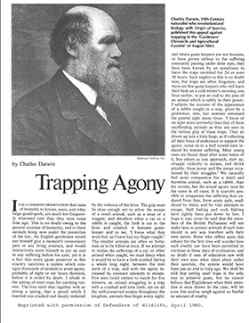 Article image of Trapping Agony