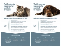 Animal Abuse Signs for Veterinarians