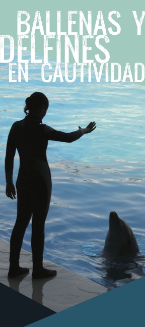 Brochure cover of Whales and Dolphins in Captivity Spanish version