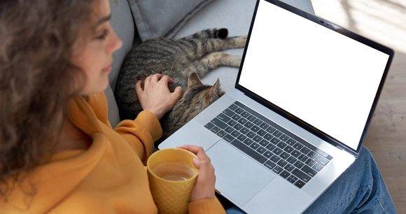 woman sitting on couch with her laptop and petting her resting cat