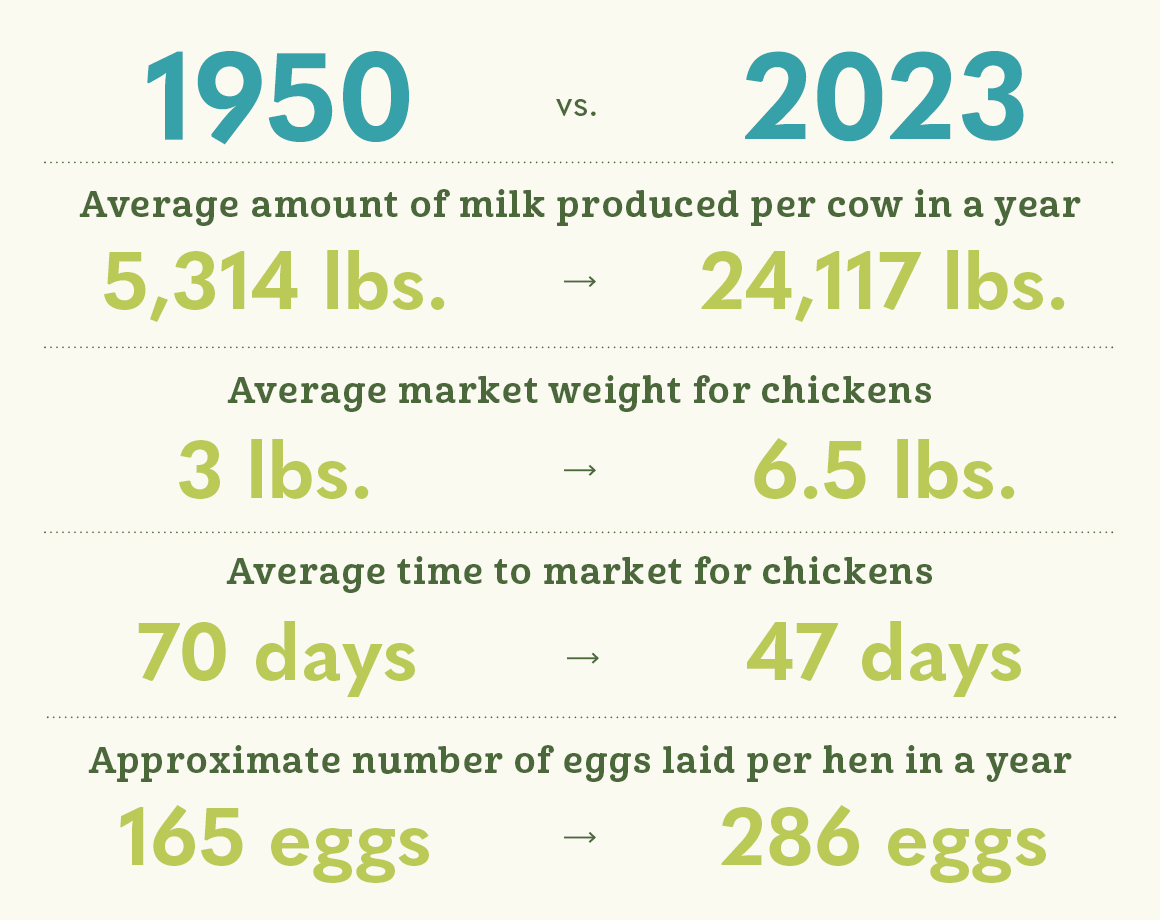 graphic of farm breeding stats