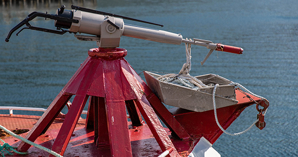 Norwegian grenade-tip harpoon