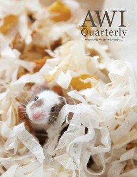 lab mouse peeks out of cage wood shavings
