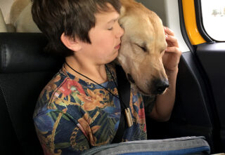 boy embraced by dog in the back seat of a car