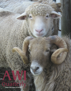 two sheep stand together at an animal sanctuary