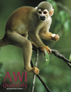 a squirrel monkey perched on a branch