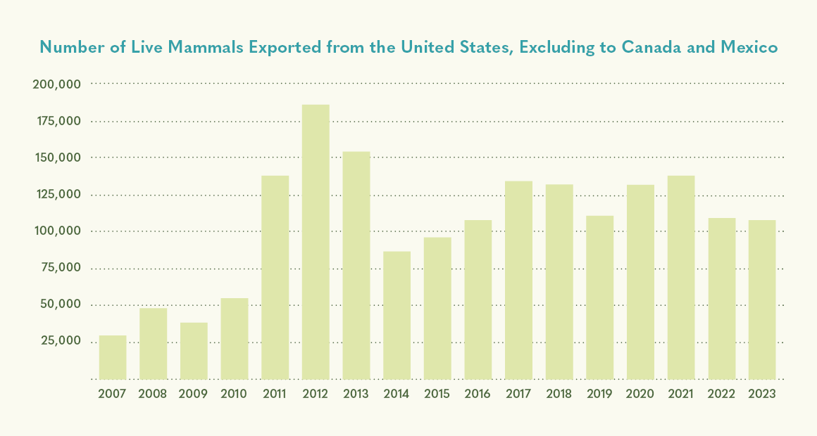 A graphic displaying the Number of Live Mammals Exported from the United States, Excluding to Canada and Mexico