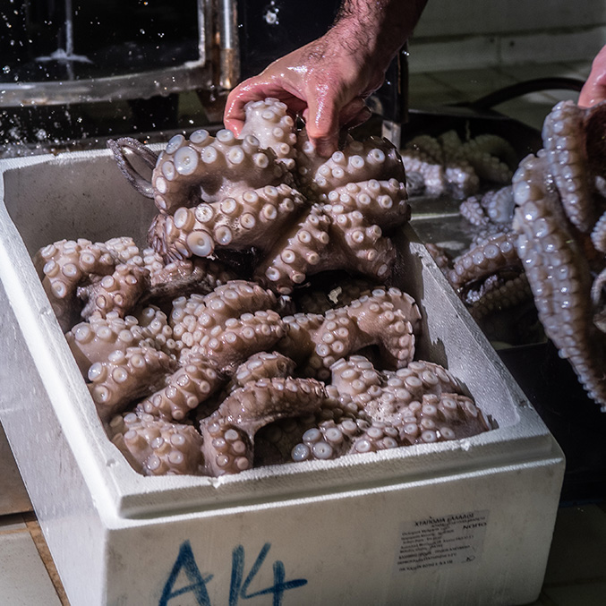 Aquaculture