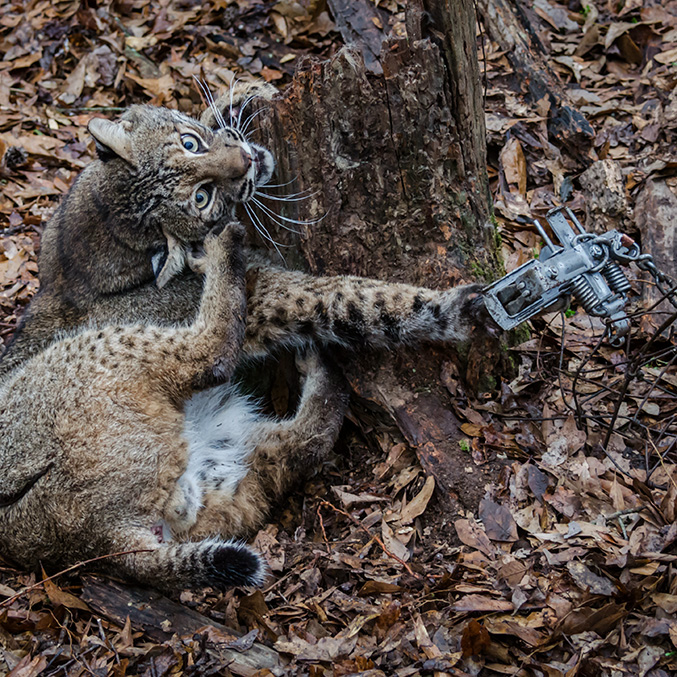 Trapping and Penning