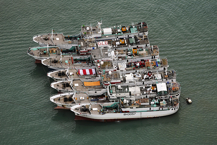 a series of boats float close together in the ocean