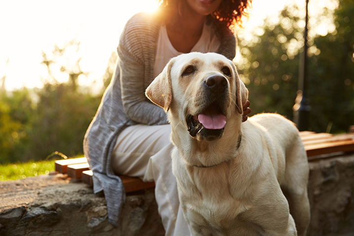 woman cuddling with yellow lab
