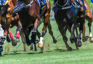 racehorses galloping on a green grass track, kicking up dirt