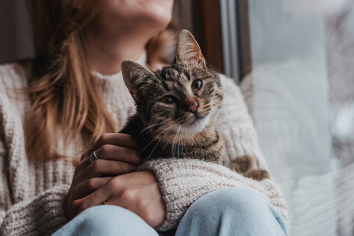 A cat looks lovingly into the camera while being cuddled on a woman's lap.