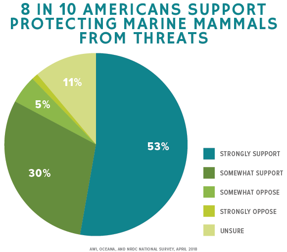 Graphic of Marine Mammals Poll