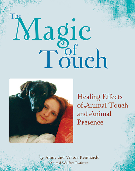 Cover art for "The Magic of Touch."