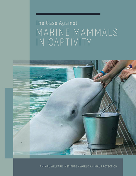 Cover art for "The Case Against Marine Mammals in Captivity."