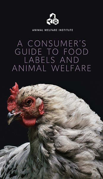 Cover art of "A Consumer's Guide to Food Labels and Animal Welfare."