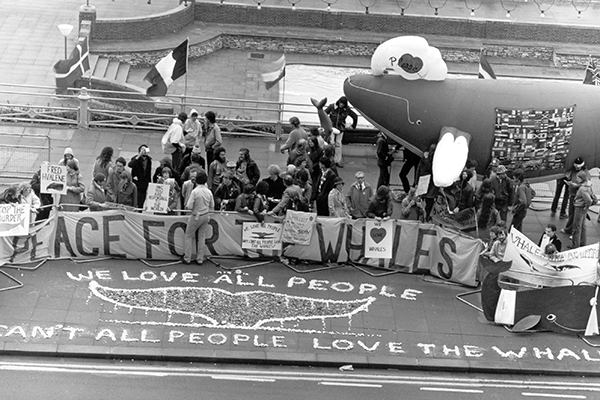 Several people and a fake inflatable whale ("Flo") participate in a peaceful protest for whales.